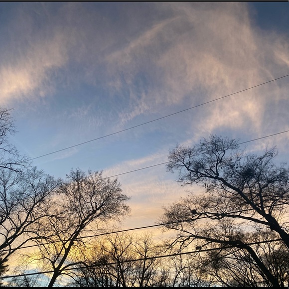 Meet your Posher, Ace - Picture 1 of 1